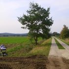 Betonierter Feldweg mit Kinderwagen, 29.09.2014