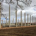 Betonlandschaft. Stützen für eine weitere Lagerhalle . . ., Bremen