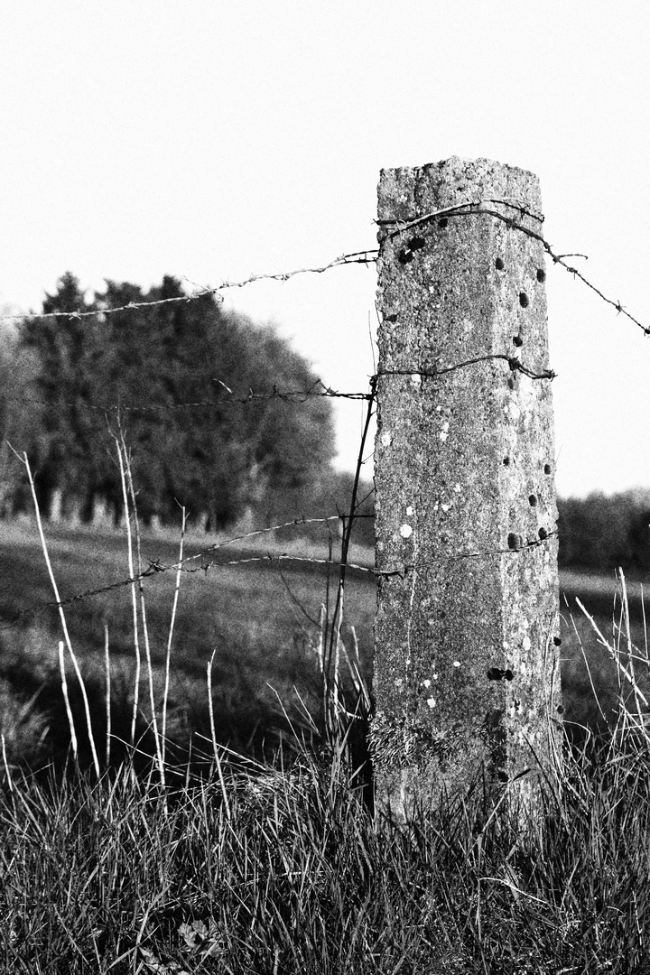 Betonpfeiler aus Weidezaun