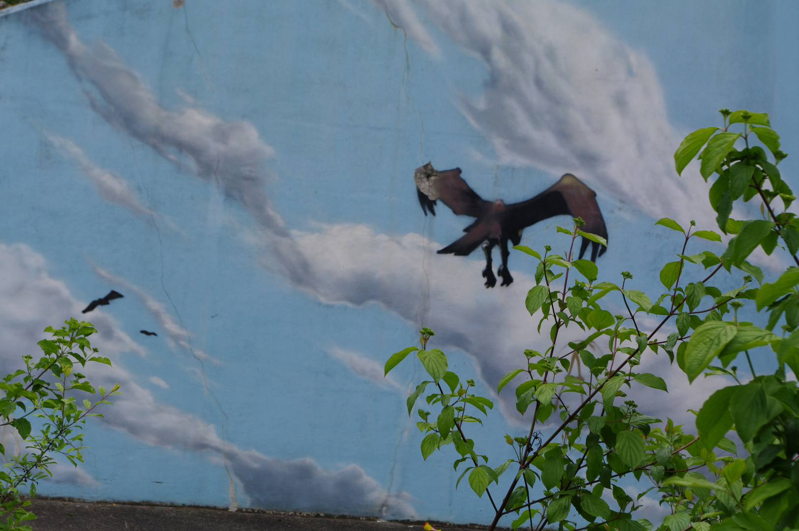 Betonwand mit Graffti von Dare trifft auf Natur