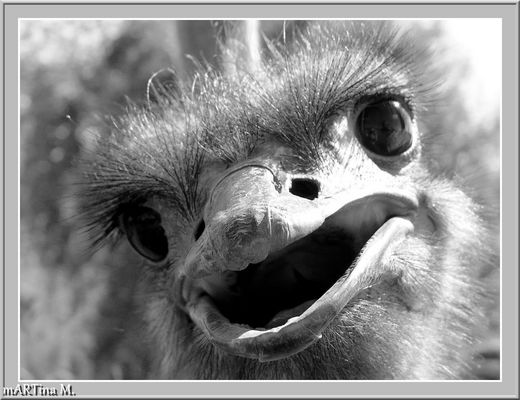 Betrachtungsweise - weise Betrachtung (mit Gedicht)