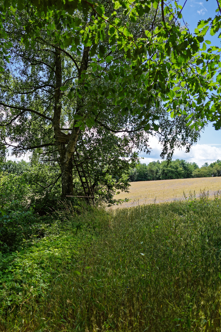 Betreten auf eigene Gefahr