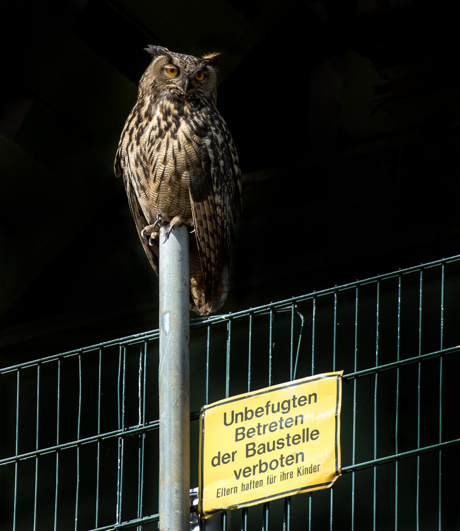 Betreten der Baustelle verboten...