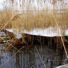 Betreten der Eisfläche auf eigene Gefahr