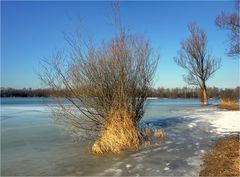 Betreten der Eisfläche verboten