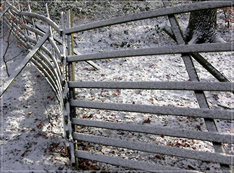 'Betreten verboten!' , sagte der Zaun...