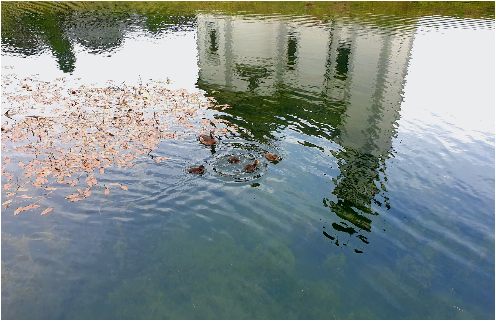 Betreutes Schwimmen