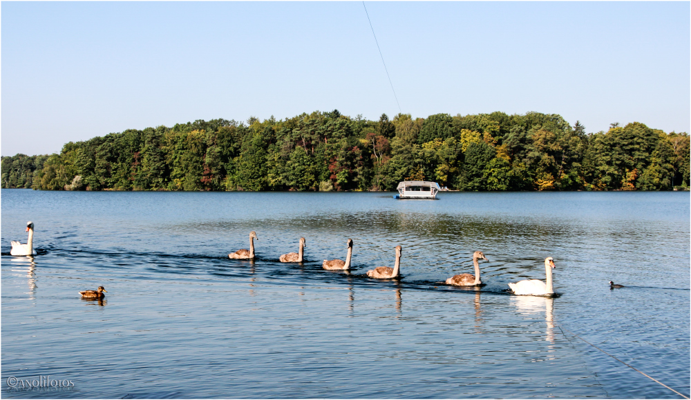 Betrieb auf dem Straussee