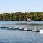 Betrieb auf dem Straussee