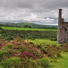 Betsy Wheal, Dartmoor