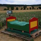 Bett im Feld mit Schlafmohn - Papaver somniferum -