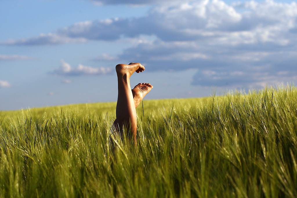 Bett im Kornfeld