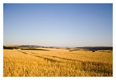 Bett im Kornfeld