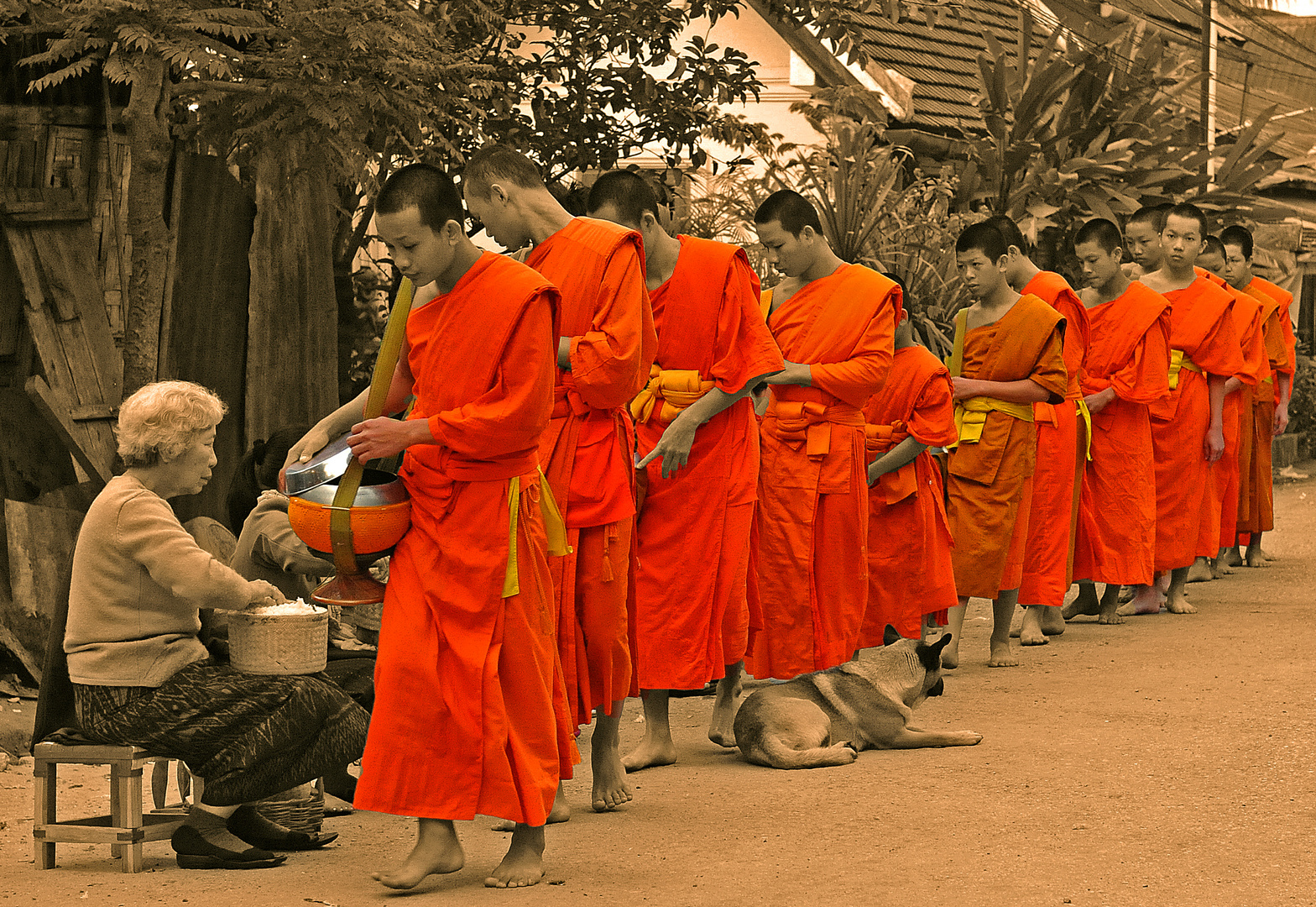 "Bettelmönche" in LuangPrabang