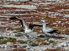 Betteln.                                       DSC_0268