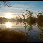 Bettenauer-Weiher