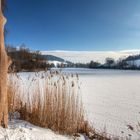 Bettenauer Weiher