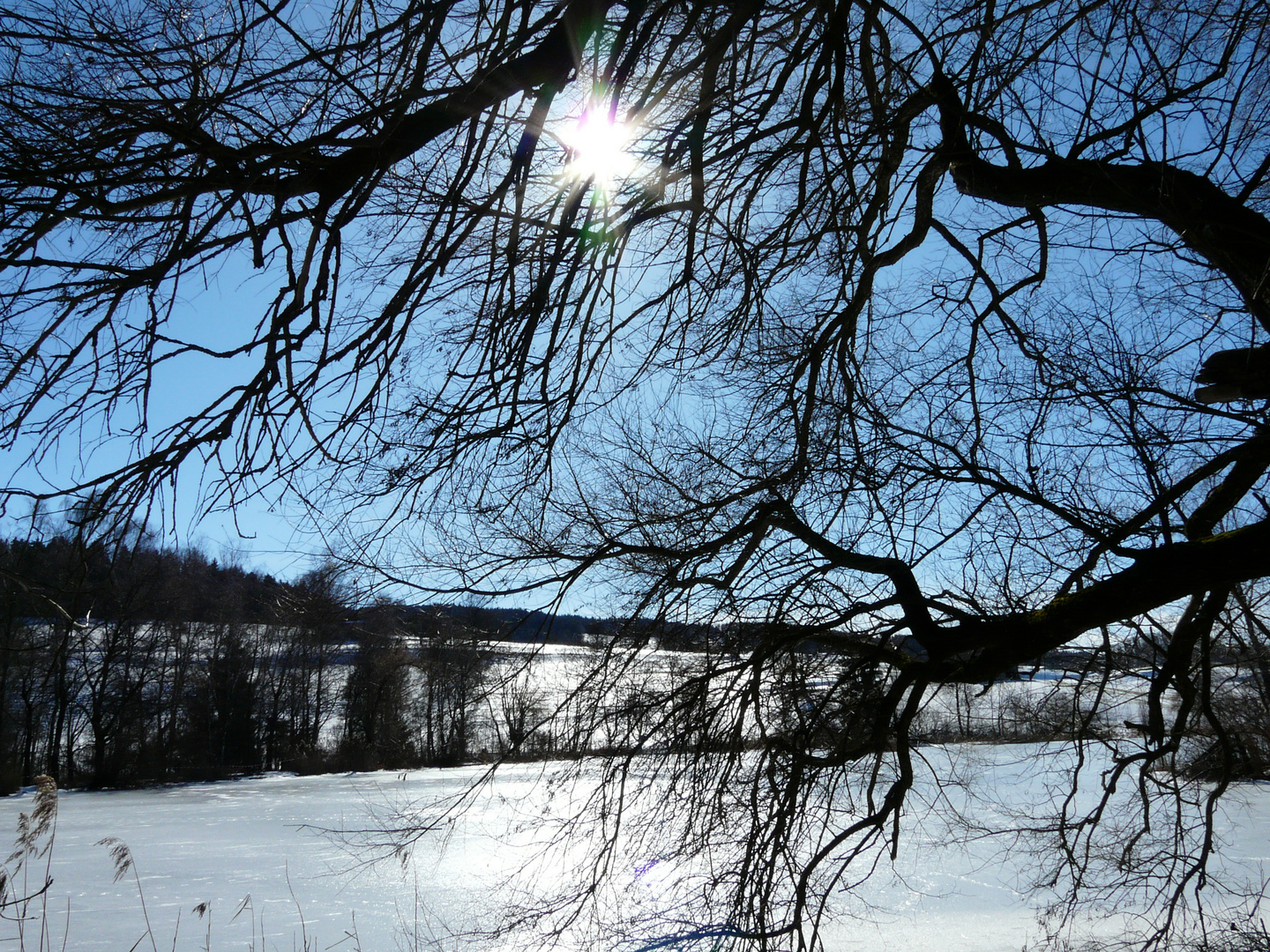 Bettenauer Weiher