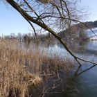 Bettenauer Weiher, Uzwil, Schweiz