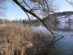 Bettenauer Weiher, Uzwil, Schweiz