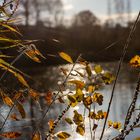 Bettenauerweiher