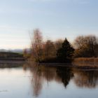 Bettenauerweiher