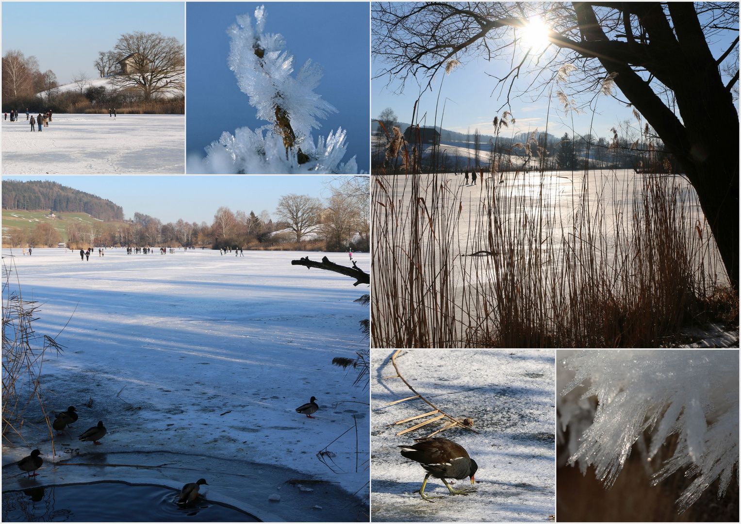 "Bettenauerweiher-Gfrörni"