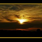 Betthupferl       Sonnenuntergang  in Norddeich