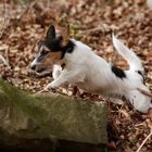 Betti ist auf dem Sprung ...