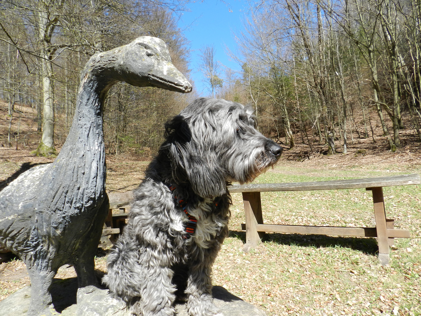 Betty auf Partnersuche Teil 2 !