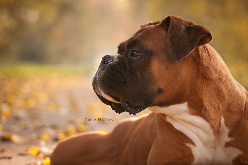 Betty im Herbst