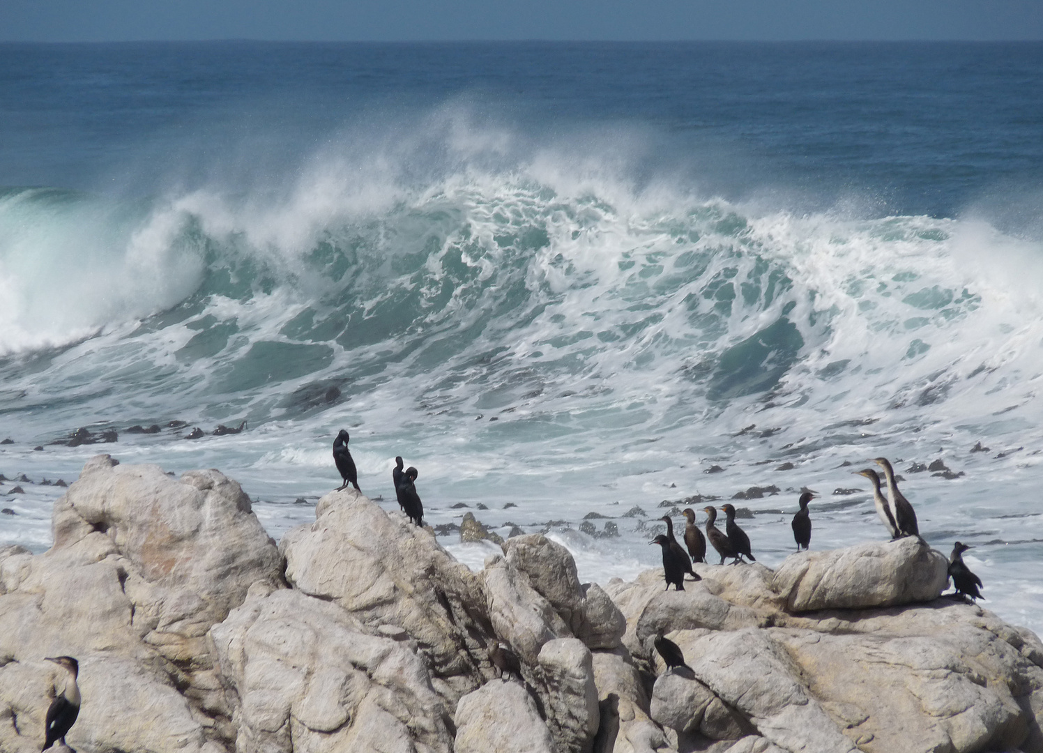 Betty's Bay in der Kap-Region