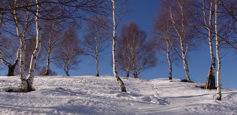 Betulle - Passo Forcora - Veddasca