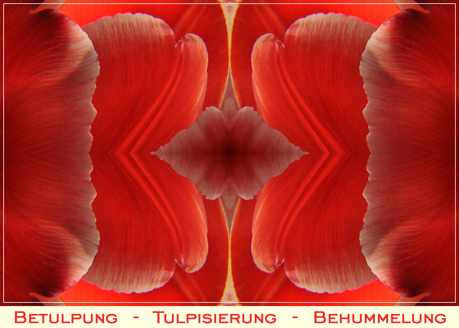 BETULPUNG  -  TULPISIERUNG  -  BEHUMMELUNG