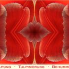 BETULPUNG  -  TULPISIERUNG  -  BEHUMMELUNG