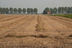 Between Amstelveen and Uithoorn - Zijdelweg - 01