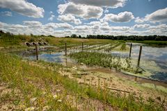 Between Enschede and Hengelo - Ecological Development Area "Kristalbad"- 03