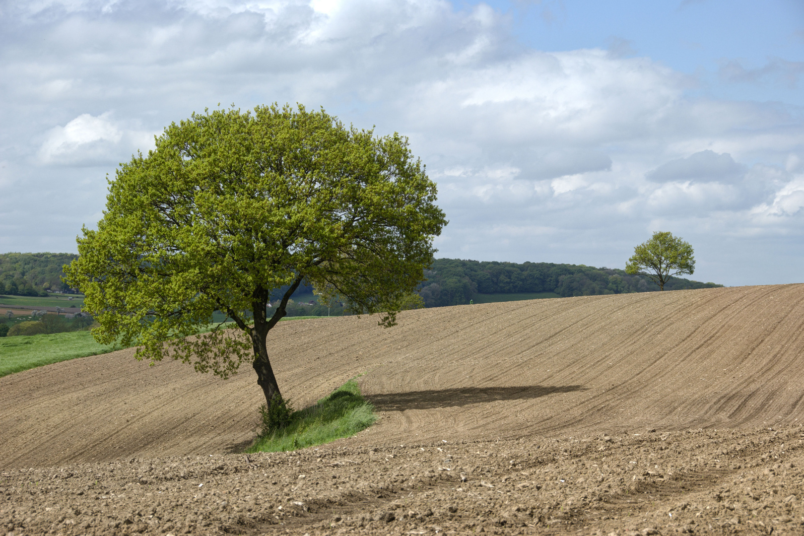 Between Epen and Camerig - 08