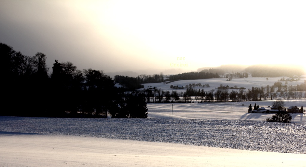 between light and darkness