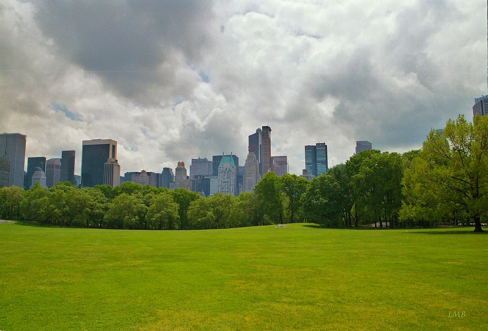 Between Meadow and Sky