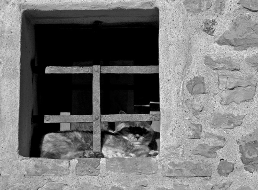 between shadow and light