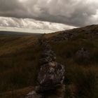 Between Stone and Sky