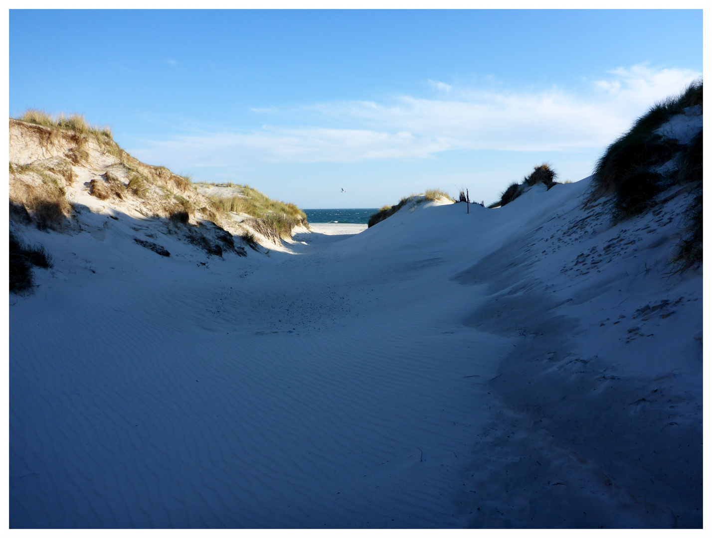 Between the Dunes