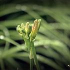 Between the raindrops