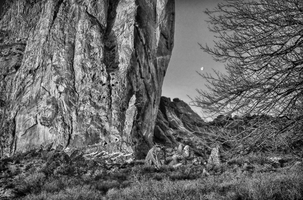 Between The Rock and Bushes Rest The Moon