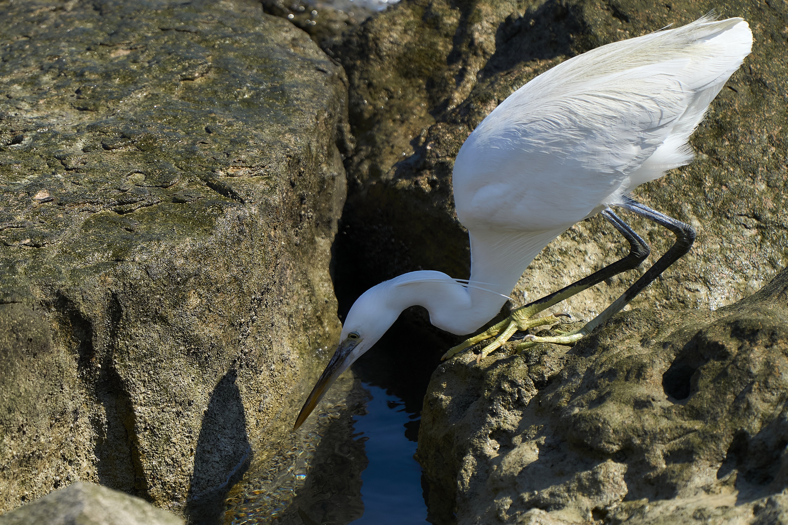 Between The Rocks