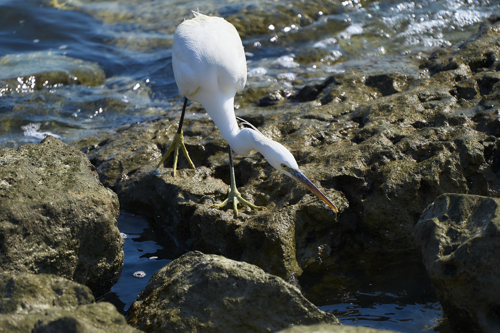 Between The Rocks