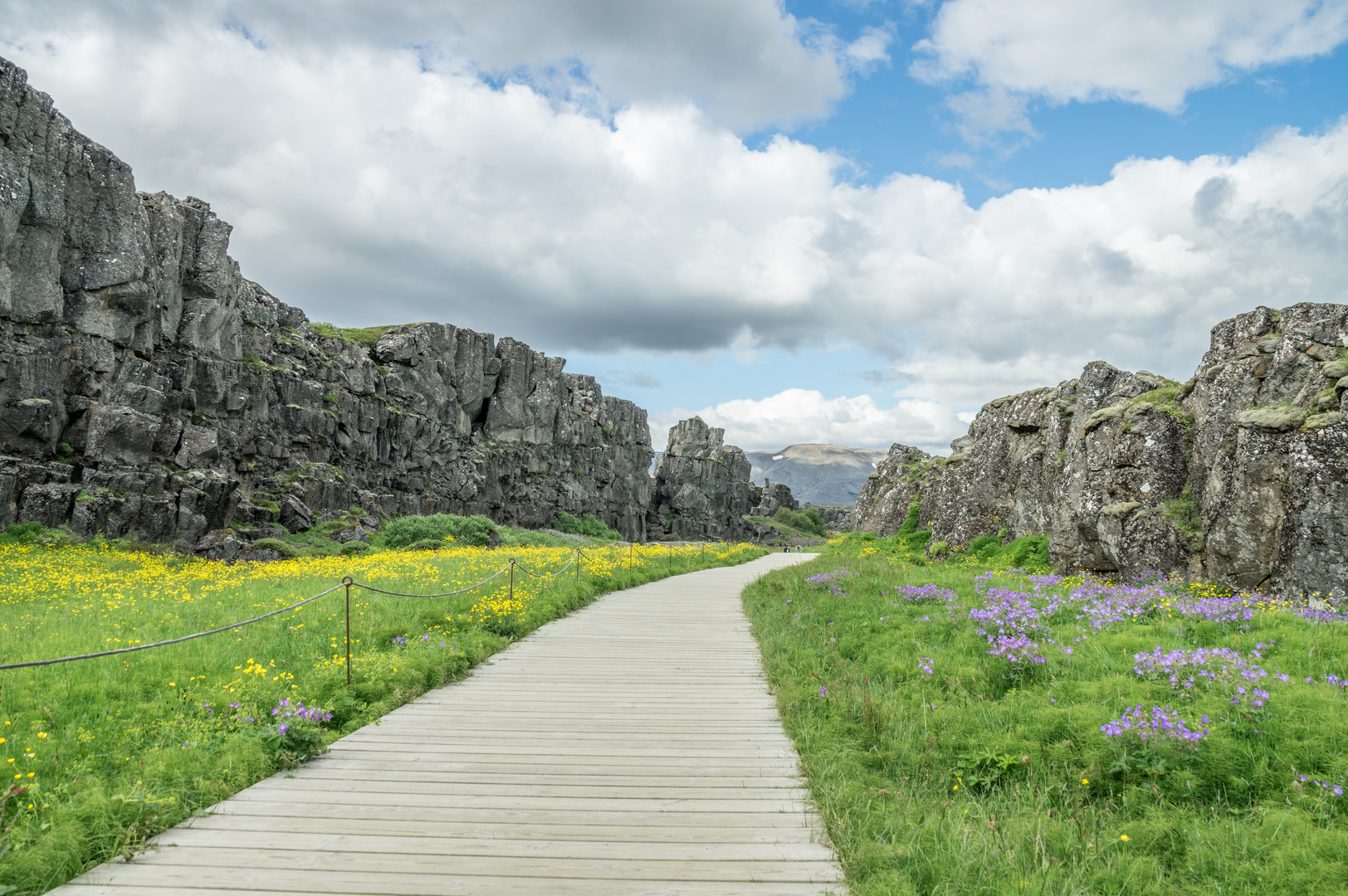 Between the tectonic plates