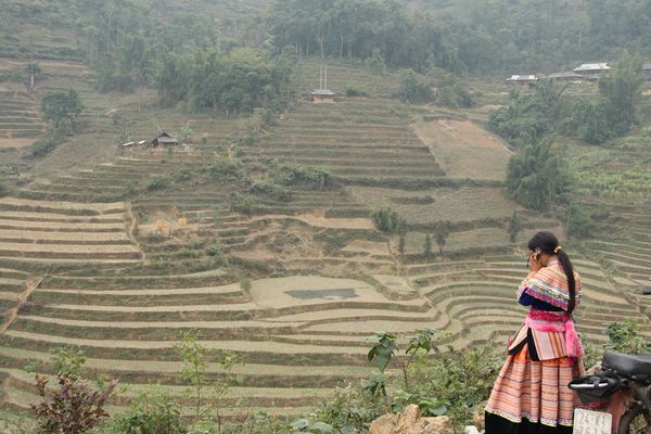 Between traditions and modernity