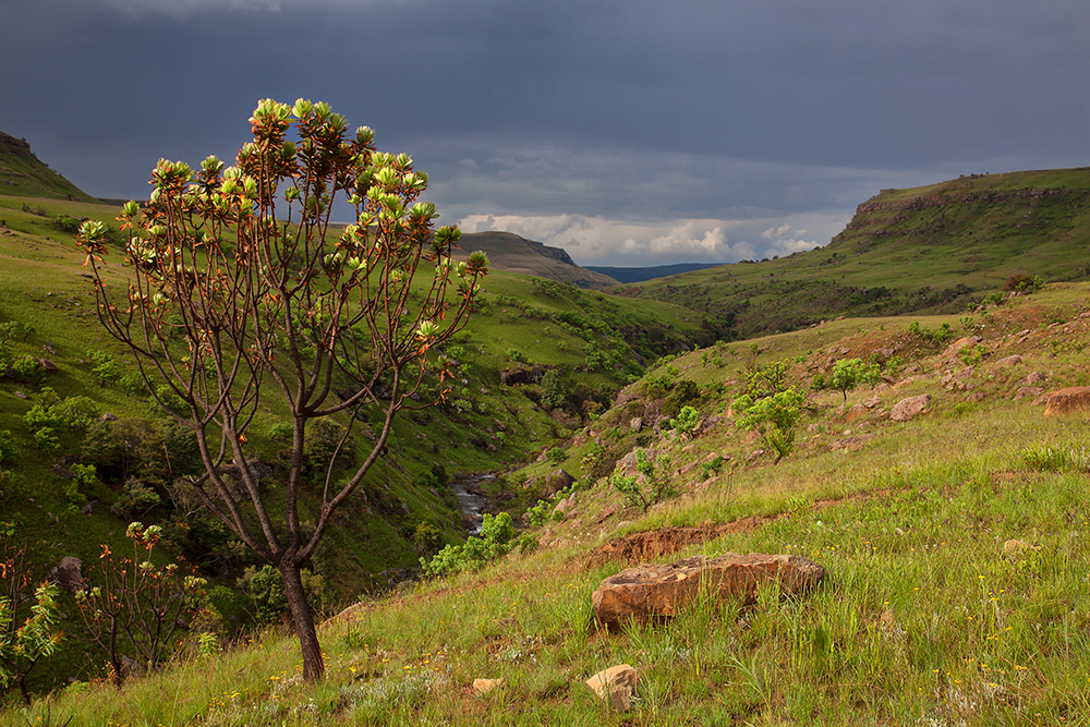 between two thunderstorms